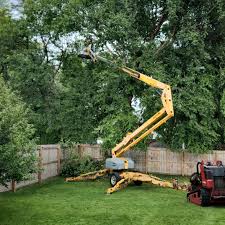 Best Tree Health Inspection  in Strawberry Point, IA