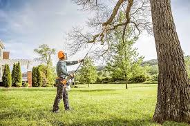 How Our Tree Care Process Works  in  Strawberry Point, IA