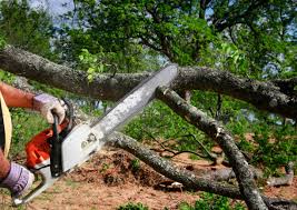 Mulching Services in Strawberry Point, IA